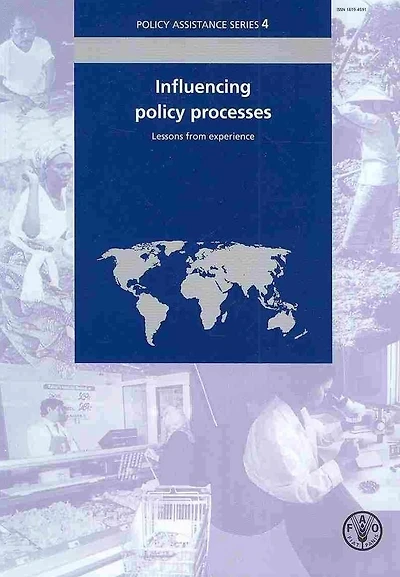 Influencing policy processes: Lessons from experience