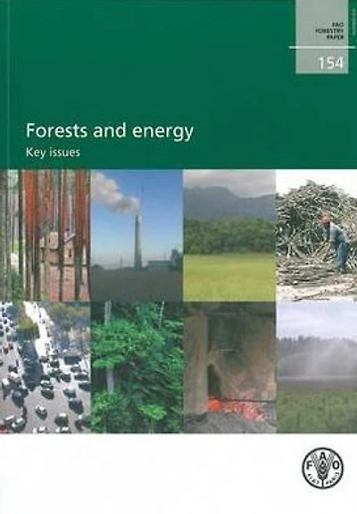 Forests and energy: Key Issues