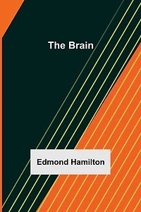 The Brain