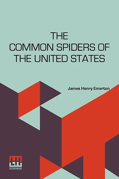 The Common Spiders of the United States