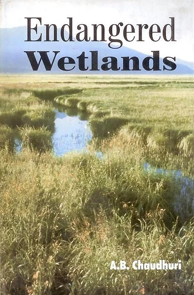 Endangered Wetlands
