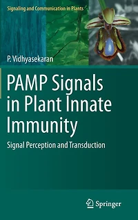 PAMP Signals Plant Innate Immunity: Signal Perception and Transduction