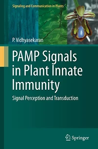 PAMP Signals Plant Innate Immunity: Signal Perception and Transduction