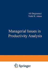 Managerial Issues Productivity Analysis