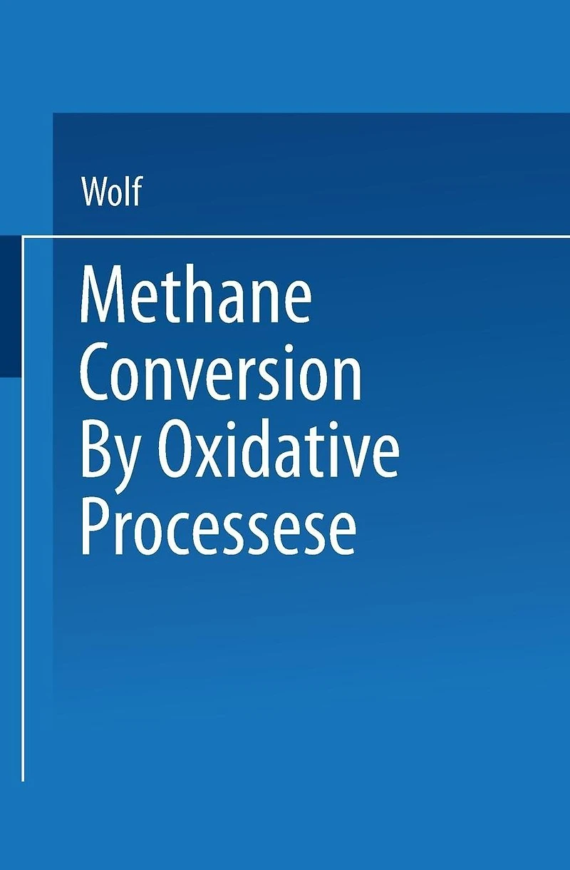 Methane Conversion by Oxidative Processes: Fundamental and Engineering Aspects