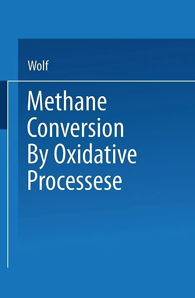 Methane Conversion by Oxidative Processes: Fundamental and Engineering Aspects