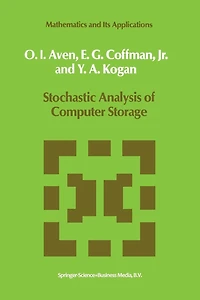 Stochastic Analysis of Computer Storage