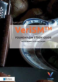 VeriSMT - Foundation Study Guide