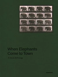 When Elephants Come to Town: A Visual Anthology
