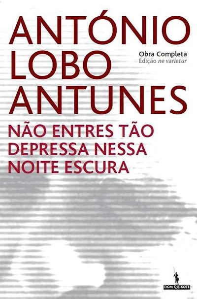 Não Entres Tão Depressa Nessa Noite Escura