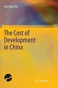 The Cost of Development China