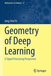 Geometry of Deep Learning: A Signal Processing Perspective