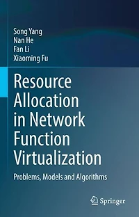 Resource Allocation Network Function Virtualization: Problems, Models and Algorithms