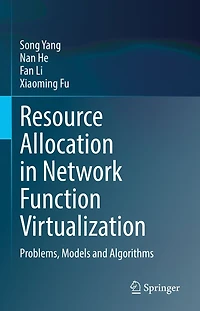 Resource Allocation Network Function Virtualization: Problems, Models and Algorithms
