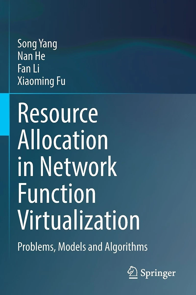 Resource Allocation Network Function Virtualization: Problems, Models and Algorithms