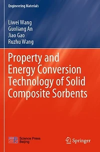 Property and Energy Conversion Technology of Solid Composite Sorbents