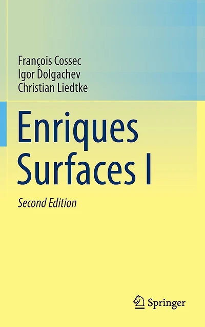 Enriques Surfaces I