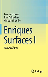 Enriques Surfaces I