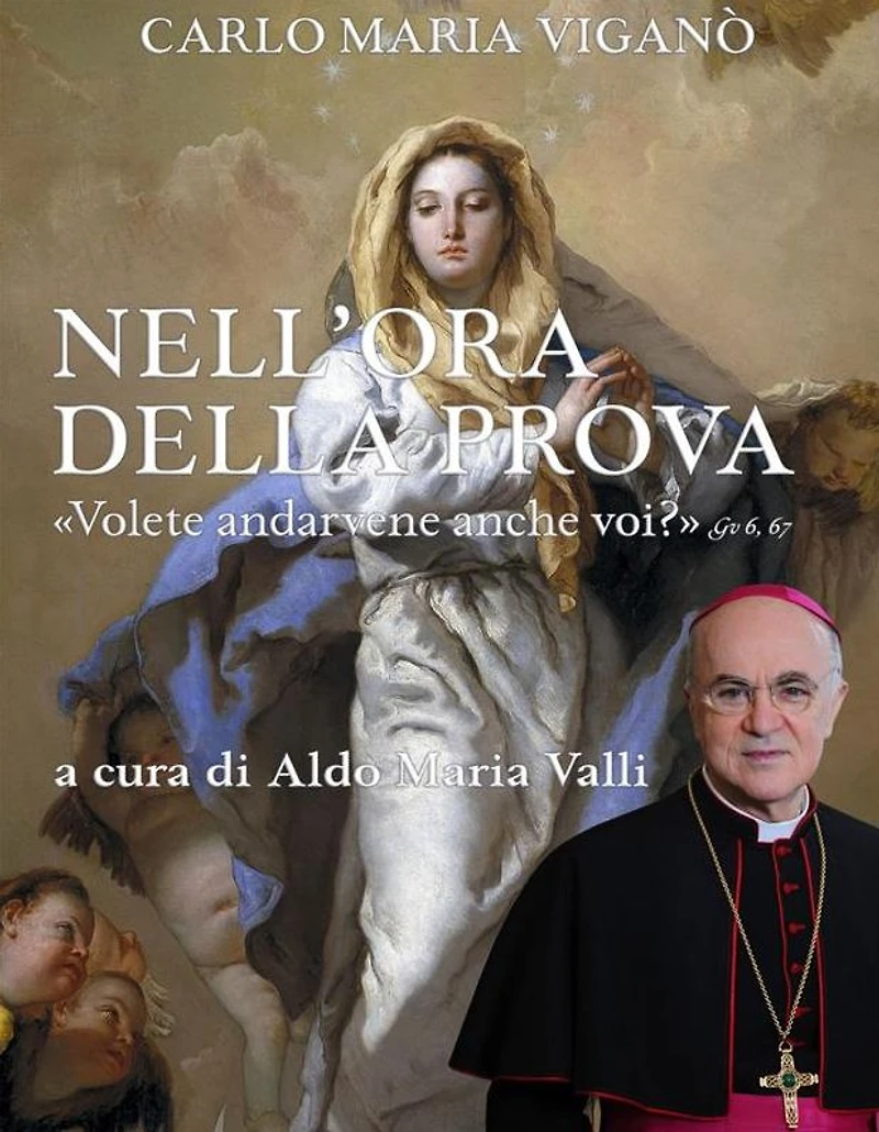 Nell'ora della prova: "Volete andarvene anche voi?" Gv 6, 67