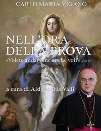 Nell'ora della prova: "Volete andarvene anche voi?" Gv 6, 67
