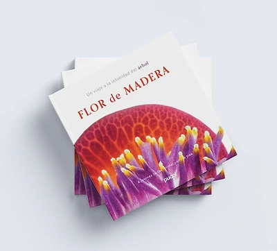 Flor de Madera: A Journey into the Intimacy of the Tree