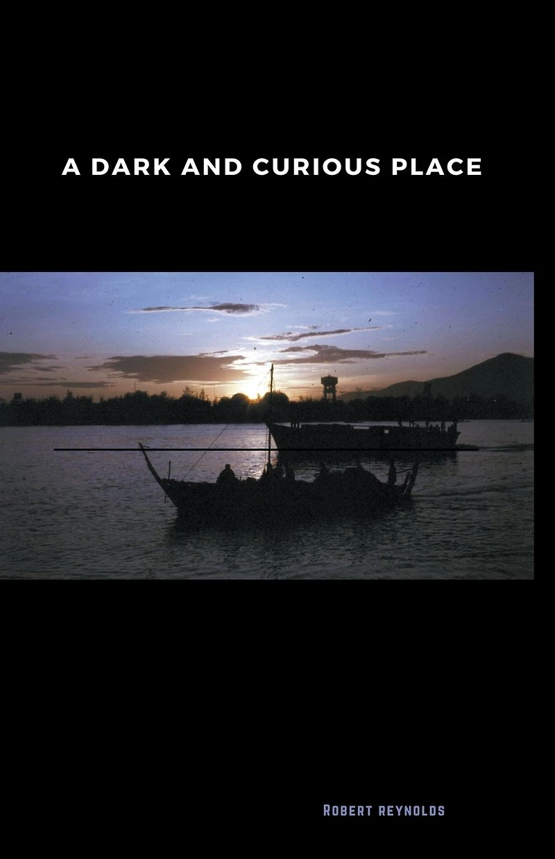 A Dark and Curious Place (Vietnam War Era)