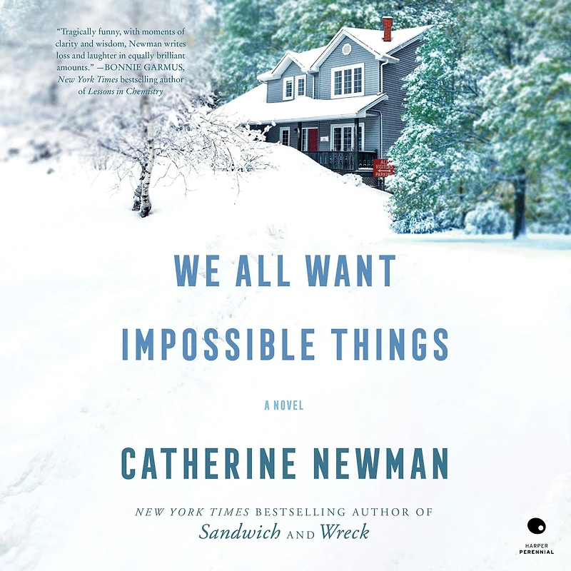 We All Want Impossible Things: A Novel