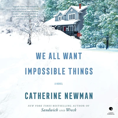 We All Want Impossible Things: A Novel