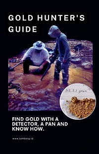 The Gold Hunter's Guide: Strategies for Success with Detectors, Pans, and In-Depth Knowledge (Gold Mining & Prospecting, #1)