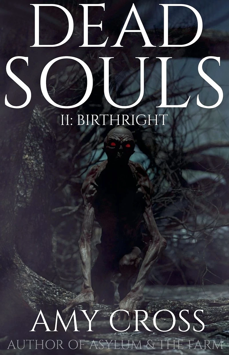 Birthright (Dead Souls, #2)