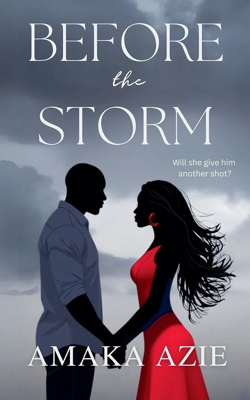 Before the Storm (Lagos plastic surgeons, #1)