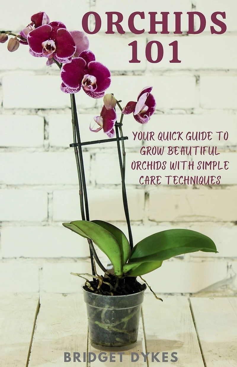 orchids 101: Your quick guide to grow beautiful with simple care techniques