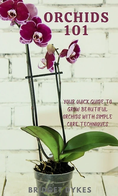 orchids 101: Your quick guide to grow beautiful with simple care techniques