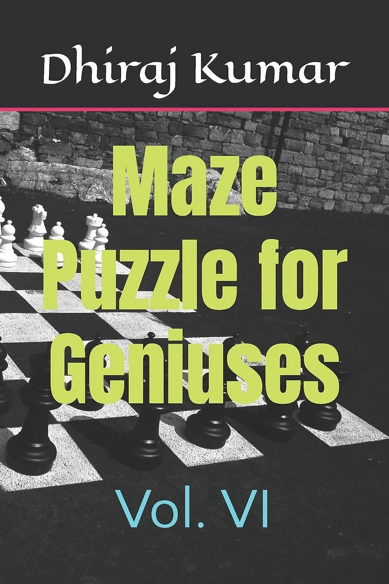 Maze Puzzle for Geniuses: Vol. VI