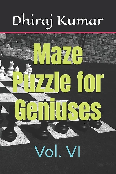 Maze Puzzle for Geniuses: Vol. VI