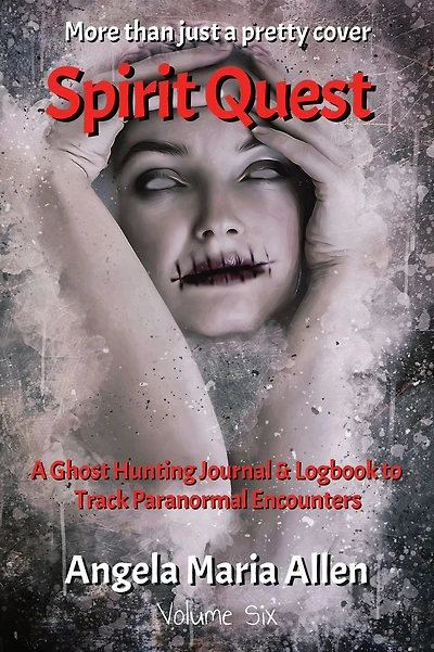 Spirit Quest: More than just a pretty cover