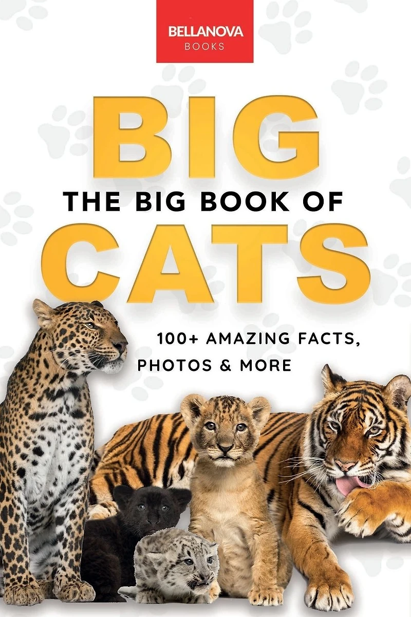 The Big Book of Cats: 100+ Amazing Facts About Lions, Tigers, Leopards, Snow Leopards & Jaguars
