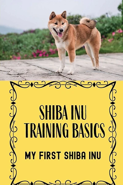 Shiba Inu Training Basics: My First Shiba Inu: