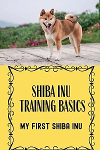 Shiba Inu Training Basics: My First Shiba Inu: