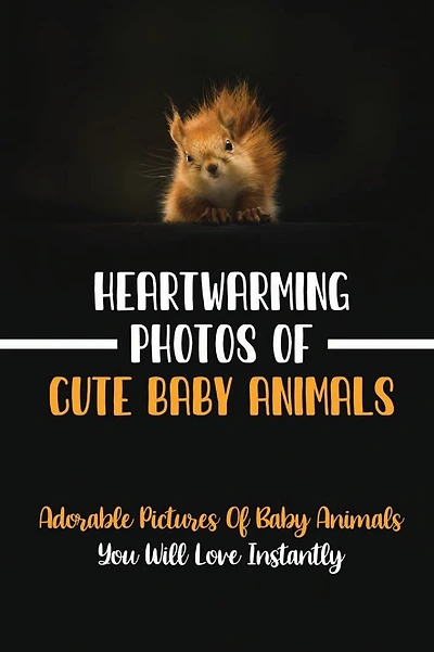 Heartwarming Photos Of Cute Baby Animals: Adorable Pictures Of Baby Animals You Will Love Instantly