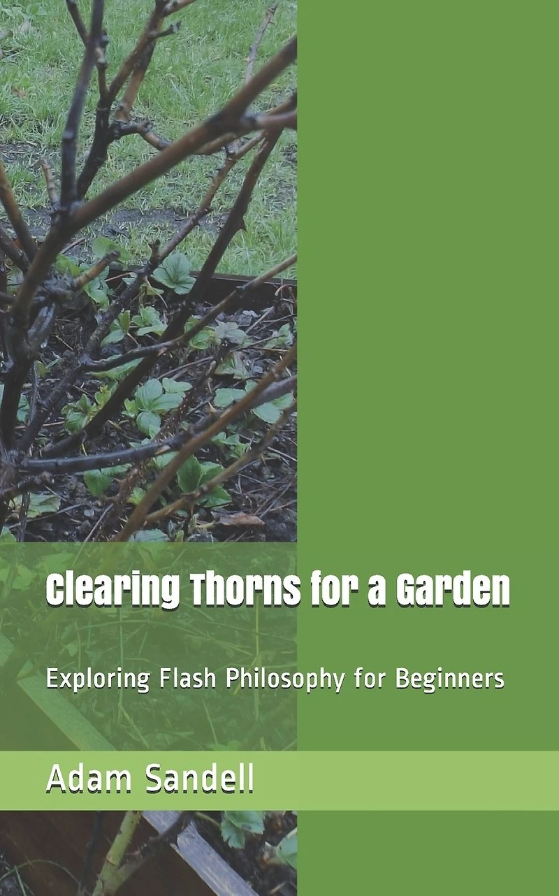 Clearing Thorns for a Garden: Exploring Flash Philosophy for Beginners