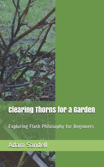 Clearing Thorns for a Garden: Exploring Flash Philosophy for Beginners