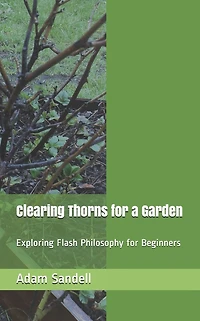 Clearing Thorns for a Garden: Exploring Flash Philosophy for Beginners