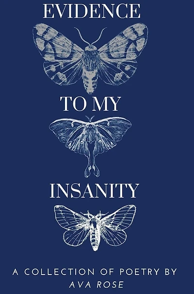 Evidence To My Insanity