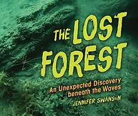 the Lost Forest: An Unexpected Discovery beneath Waves