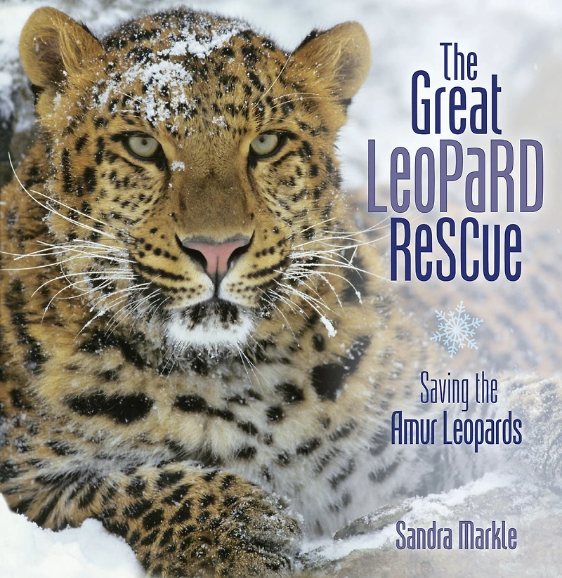 the Great Leopard Rescue: Saving Amur Leopards