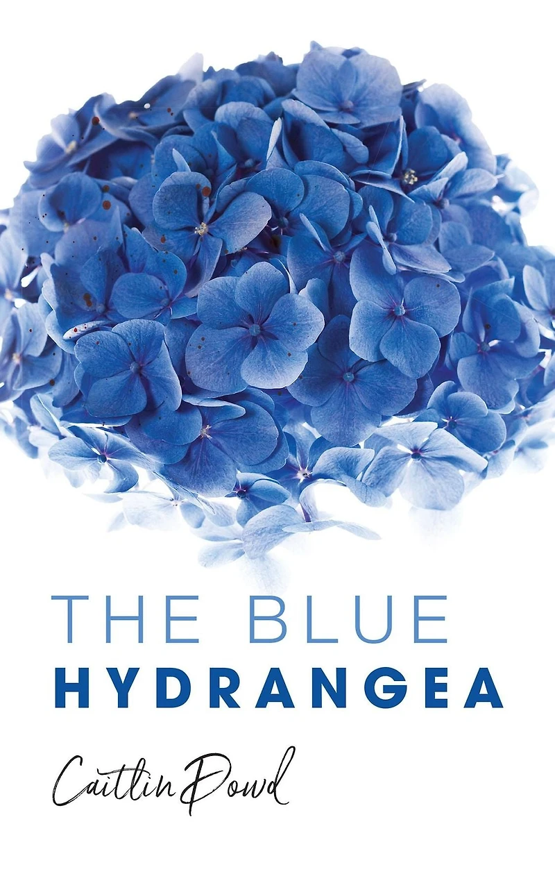 The Blue Hydrangea