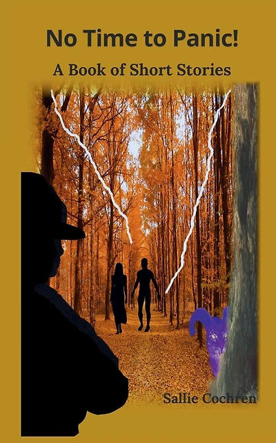 No Time to Panic!: A Book of Short Stories