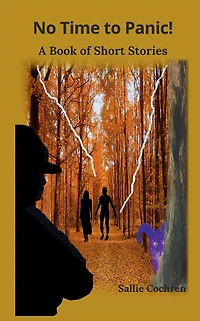 No Time to Panic!: A Book of Short Stories