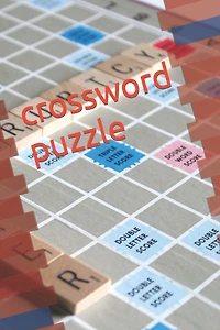 crossword puzzle